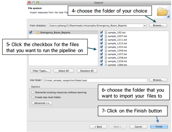  Import resources from the local file system into an existing project