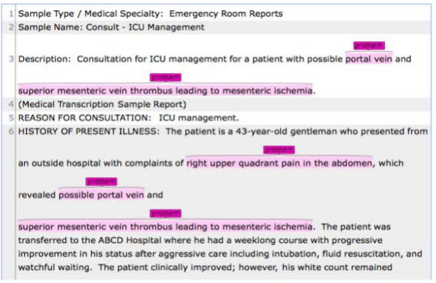  A file with pre-annotated named entities