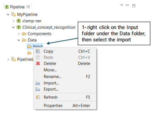 Drop-downContext menu for importing the input files